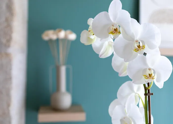 Lägenhet Casa Flores - In Historical Center Oporto