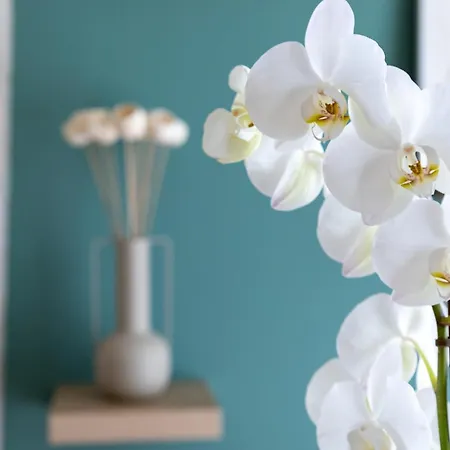 Apartmán Casa Flores - In Historical Center Porto